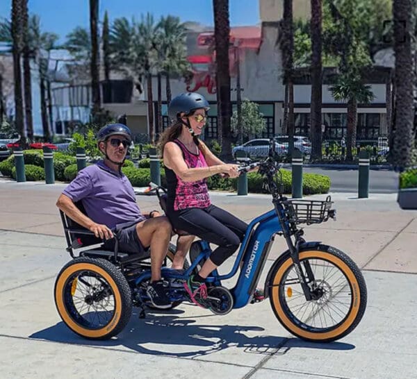 Addmotor Greattan L Passenger eTrike - Image 3